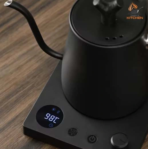 Electric Gooseneck Kettle with Temperature Control