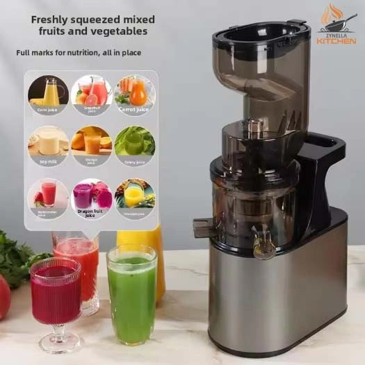 Zynella Stainless Steel Slow Juicer Commercial Automatic Juice Extractor