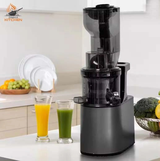 Zynella Stainless Steel Slow Juicer Commercial Automatic Juice Extractor