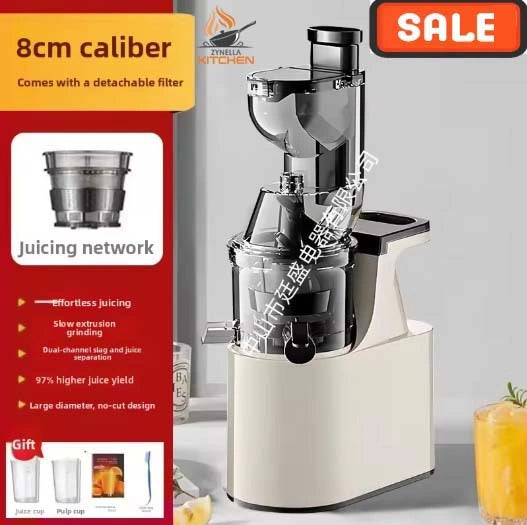 Zynella Stainless Steel Slow Juicer Commercial Automatic Juice Extractor