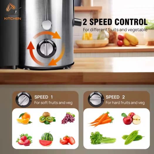 Zynella 1000W Professional Fruits & Vegetables Juicer