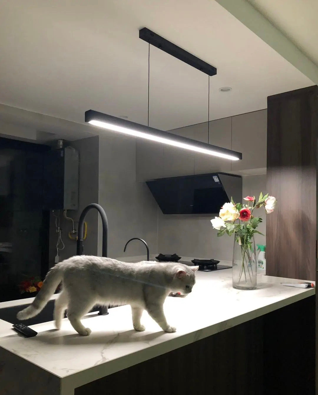 The LumaBar Lamp