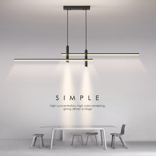 The Linear Duo Pendant