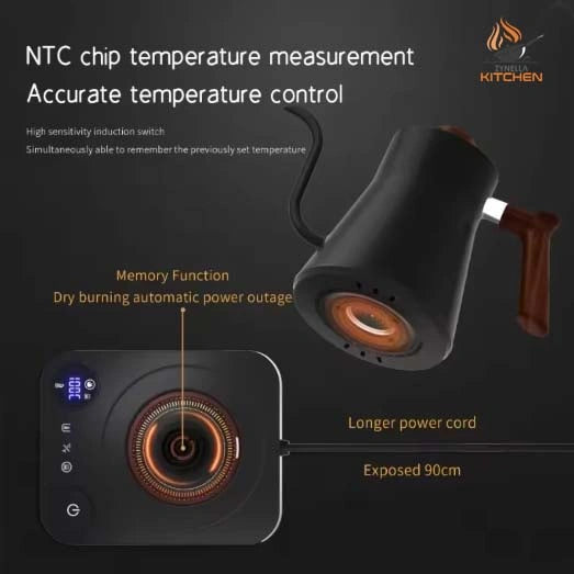 Electric Gooseneck Kettle with Temperature Control