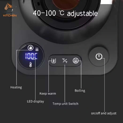 Electric Gooseneck Kettle with Temperature Control