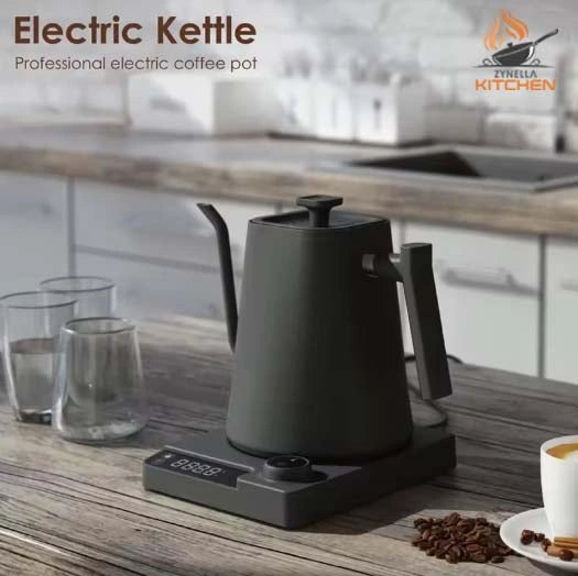 Gooseneck Electric Kettle with Temperature Control
