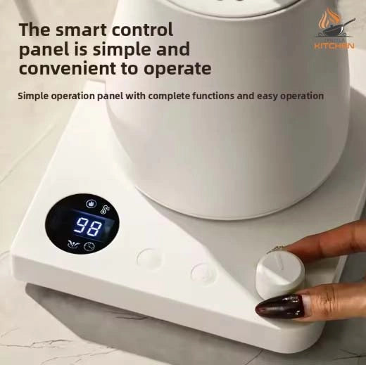 Electric Gooseneck Kettle with Temperature Control