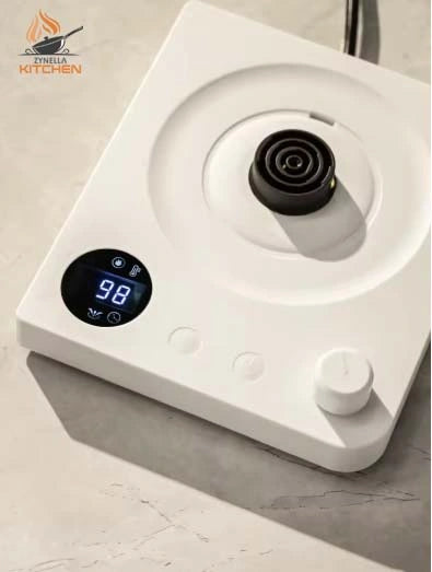Electric Gooseneck Kettle with Temperature Control
