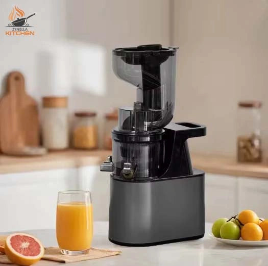 Zynella Stainless Steel Slow Juicer Commercial Automatic Juice Extractor