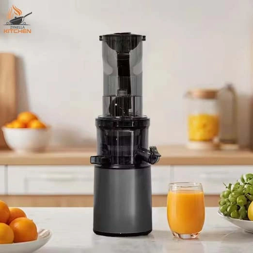Zynella Stainless Steel Slow Juicer Commercial Automatic Juice Extractor