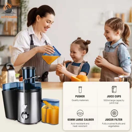 Zynella 1000W Professional Fruits & Vegetables Juicer