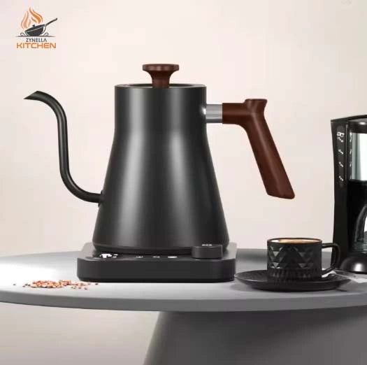 Electric Gooseneck Kettle with Temperature Control