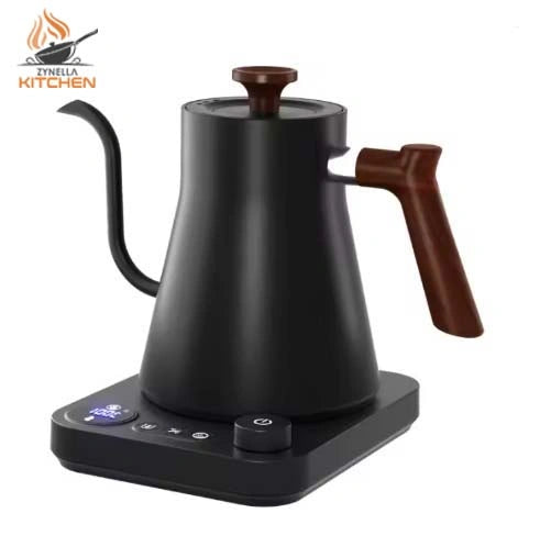 Electric Gooseneck Kettle with Temperature Control