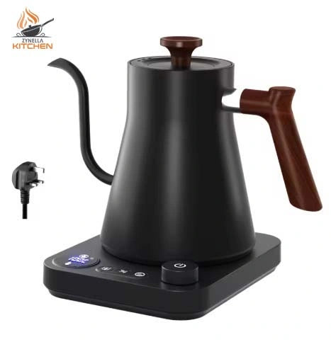 Electric Gooseneck Kettle with Temperature Control