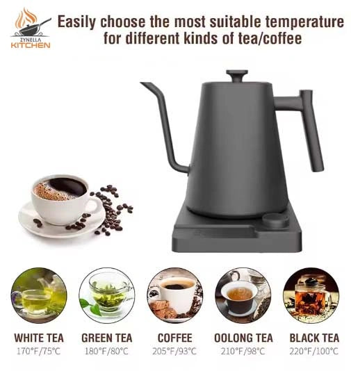 Gooseneck Electric Kettle with Temperature Control