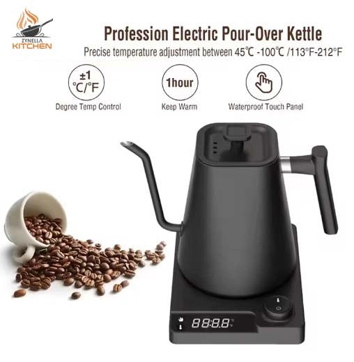 Gooseneck Electric Kettle with Temperature Control