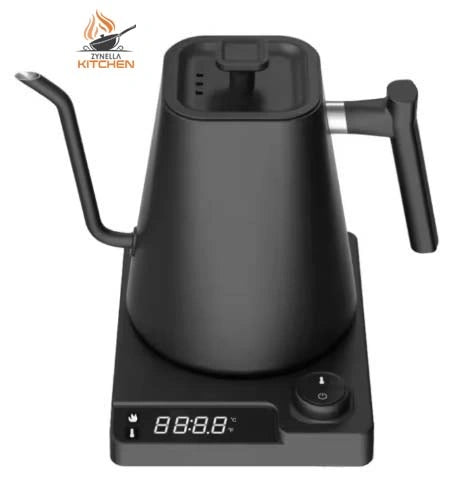 Gooseneck Electric Kettle with Temperature Control